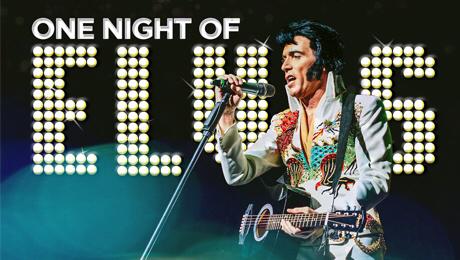 Booking Elvis Presley Tribute Agent Info & Pricing for Private ...